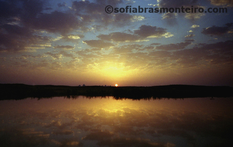 Lisbon -Algarve
